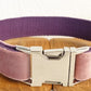 Dog leash pet collar