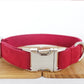 Pet Traction Collar Dog Collar
