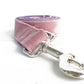 Dog leash pet collar