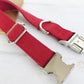 Pet Traction Collar Dog Collar