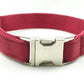 Pet Traction Collar Dog Collar