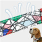 Pet Collar Lettering Large Dog Pet Dog Neck